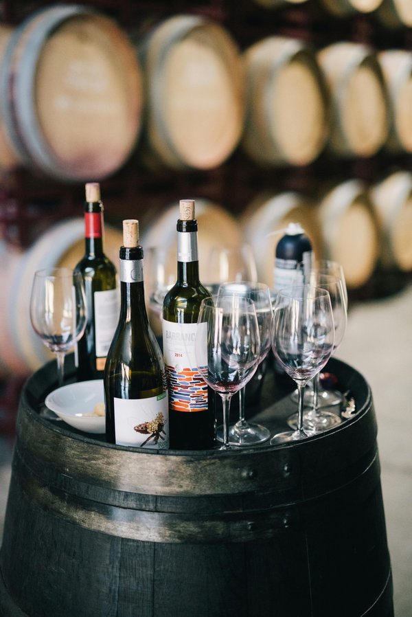 Le musée du vin et dégustation à Châteauneuf du Pape : une expérience sensorielle immersive